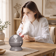 KD23312 Dual-nozzle Chinese-style herbal facial steamer